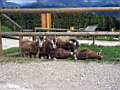 2005 05 1.KLasse 016.jpg